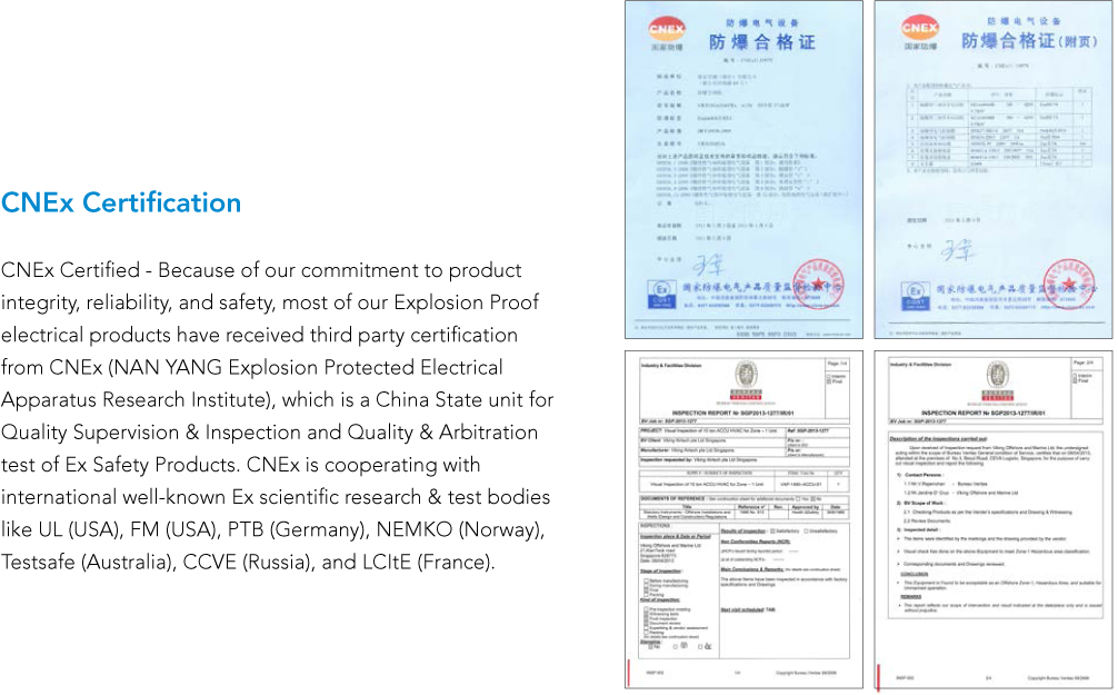 CNEx Certificate